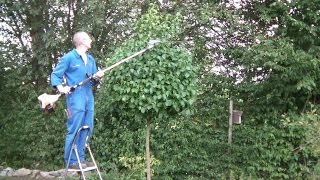 Kugelbaum schneiden mit dem Stihl Kombisystem Heckenschneider mit Schaftverlängerung Hedge Trimmer [upl. by Dell]