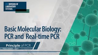 Basic Molecular Biology PCR and RealTime PCR – Principle of PCR [upl. by Estrin]