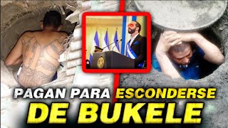 Así Se ESCONDEN Los PANDILLEROS Del CECOT Y BUKELE En El Salvador [upl. by Anilra]