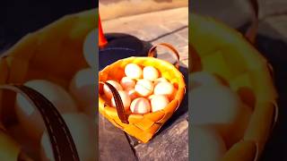 Short video Chicken egg laying stylecatvideos funny [upl. by Ybot745]