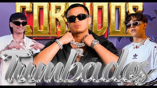 MIX CORRIDOS TUMBADOS 2024 XAVI PESO PLUMA FUERZA REGIDACORRIDOS BELICOS 2024 DJ DOPP [upl. by Annmaria126]