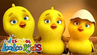 🐥PioPio Pollitos  Canciones Infantiles para niños  ChuChuWa [upl. by Guglielma]