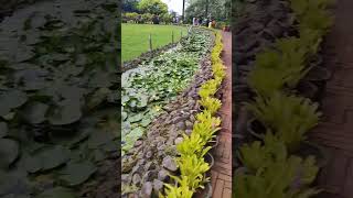 Mapro garden Mahabaleshwar cutebaby cute [upl. by Dabney456]