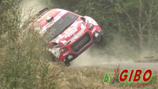 52° San Marino Rally 2024 [upl. by Dorison160]