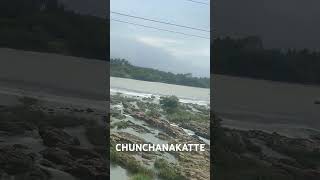 Kaveri river in chunchnakatteriver fallskaaveri [upl. by Ahsirtap]