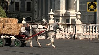 SIZILIEN  Teil 2 quotGlanzlichter von Syrakus Catania und den Ätna entdeckenquot SICILY  SICILIA [upl. by Tegdig]