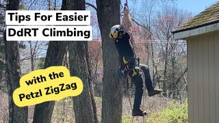 DdRT with Petzl ZigZag  Foot Ascender  Arborist Tree Climbing Techniques [upl. by Zea630]