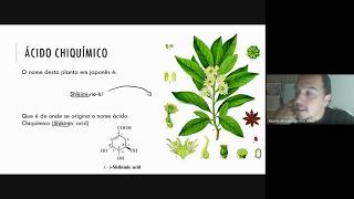 Flavonoides Como são formados pelo Ácido Chiquímico [upl. by Attenauqa]