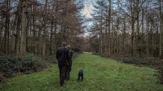 Winter Roe Stalking In Hampshire [upl. by Mccutcheon]