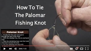 How To Tie The Palomar KnotSaltwater Experience [upl. by Brenk810]