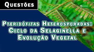 PTERIDÓFITAS HETEROSPORADAS CICLO DA SELAGINELLA E EVOLUÇÃO VEGETAL  QUESTÕES [upl. by Juxon]