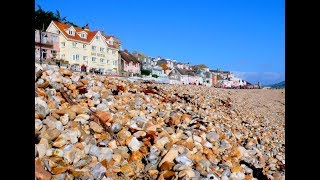 Places to see in  Lyme Regis  UK [upl. by Rol]