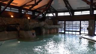 Disneyland Paris Sequoia Lodge Swimming Pool Jan 2014 Watch in HD [upl. by Body]