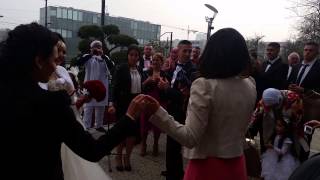 groupe zorna algérien moustapha ambiance mariage setifien kabyle 20 mars 2015 [upl. by Eatton716]