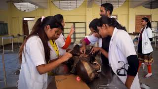 Dr BR Ambedkar Medical College batch video ADHYAYA2018 [upl. by Lannie]