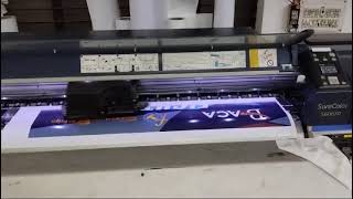 Eco Solvent Vinyl Banner Printing Service In Ghaziabad [upl. by Eittam]