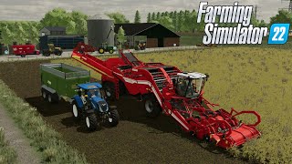 TERUG IN NEDERLAND EN AARDAPPELEN ROOIEN  Farming Simulator 22 G29 [upl. by Manheim]