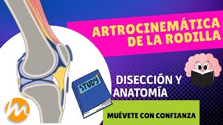 ARTROCINEMÁTICA DE RODILLA CON DISECCIÓN DE RODILLA [upl. by Auqenwahs]