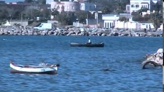 TESTING CAMCORDER CANON FS30 IN TUNISIA BIZERTA MOV017 [upl. by Hayila]