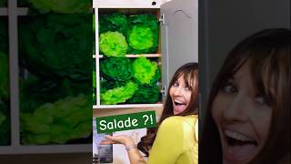 Une obsession pour la salade  découvrez son incroyable stock  😨🥗 Clara Litchi  La Salade [upl. by Adnohsal677]