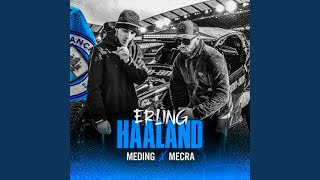 Erling Haaland [upl. by Enaelem957]