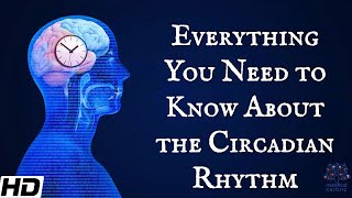 Everything You Need To Know About The Circadian Rythm [upl. by Gwendolin]