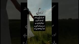 Quote Urdu youtubeshorts quotes shorts viralvideo ytshorts anaya QuoteUrduHA [upl. by Goldfinch]