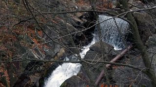 Abandoned WilkesBare Hazleton Railroad tressle over Solomon Falls [upl. by Sana606]