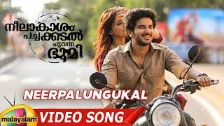 NPCB Movie Scenes  Neelakasham Song  Sunny Wayne goes back to Ena Saha  Dulquer reaches Nagaland [upl. by Airehc]