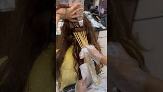 Beautiful Hair Highlights hair haircolor youtubeshorts shorts trending viralvideo [upl. by Hootman788]