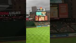 My last home game at Camden Yards 2024 And it sucked… mlb baltimoreorioles mlbpostseason [upl. by Aniral]