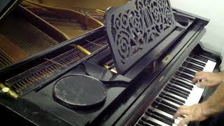 BÖSENDORFER baby grand piano Must sell [upl. by Gottwald]