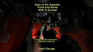 Easy to Fix Squeaky Front End Noise With A Syringeautomotive mechaniclife autoexpert XpertGarage [upl. by Yecnahc]