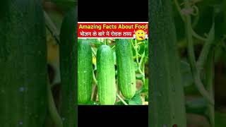 Top 10 Mind Blowing Facts in हिंदी 🍅  Amazing Facts About Food shorts short amazingfact facts [upl. by Lauhsoj]