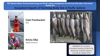 Seminar 14 Ecosystem Impacts of Declining Body Size in Pacific Salmon [upl. by Amero]