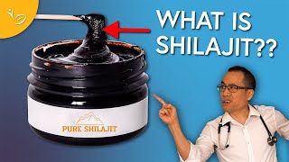 A Doctor Reviews Shilajit [upl. by Rattray]