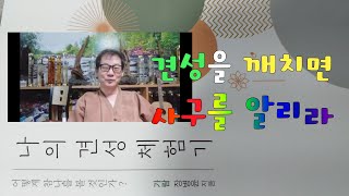 살활동시를 깨치면조사들과의 선문답에 막힘이 없으리라900회 선요 13 제 13강의 [upl. by Verneuil]