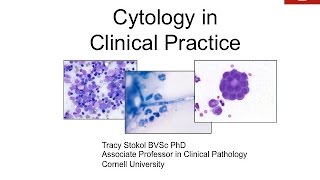 Cytology in Clinical Practice  conference recording [upl. by Wallford388]