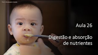 Videoaula 26 Digestão e absorção dos nutrientes [upl. by Ahsienel]