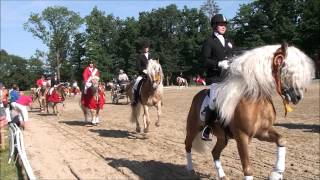 Haflinger Europa Championat 2012  Lap of honour [upl. by Dhumma]