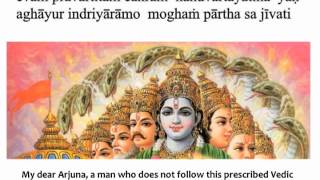 Bhagavad Gita Chapter 3  Verse 16 [upl. by Oilerua480]