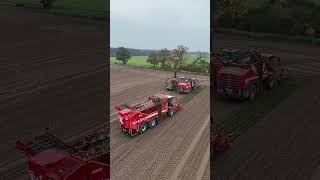 GRIMME REXOR 6200 amp REXOR 6300 am Rüben roden  FENDT 936 mit HAWE RUW 4000  DEHR AGRARSERVICE [upl. by Pfeffer]