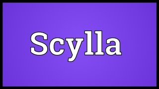 Scylla Meaning [upl. by Sorcim]