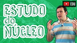 Biologia  Citologia  Estudo do Núcleo para o Enem e Vestibulares [upl. by Odnamra]