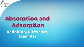 Absorption and Adsorption  Definition Difference Examples [upl. by Hersch457]