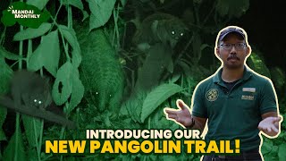 Mandai Monthly  Introducing our allnew Pangolin Trail [upl. by Dirraj]