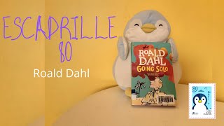 Extrait dEscadrille 80 de R Dahl [upl. by Alemac654]