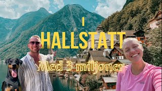 I HALLSTATT MED 3 MILJONER amp GRATIS BOENDE I UTBYTE MOT PIZZA vlog6 [upl. by Awe123]