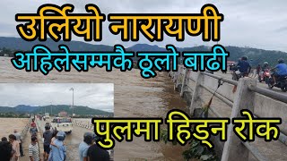 उर्लियाे नारायणी  अहिलेसम्मकै ठुलो बाढी । पुलमा हिड्न राेक  Naryani River Flood [upl. by Camfort]