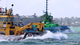 Tugboat Race Auckland Anniversary Day  2024 [upl. by Klapp417]